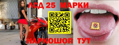 мдма Кингисепп