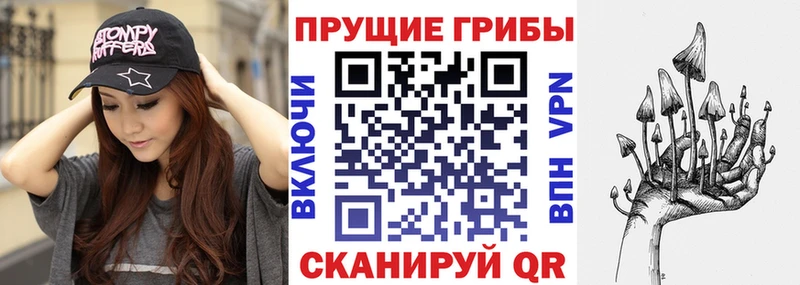 Псилоцибиновые грибы GOLDEN TEACHER Кохма