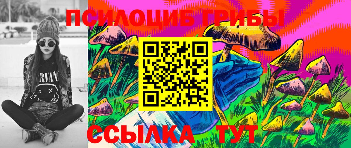Галлюциногенные грибы Cubensis  как найти наркотики  Кохма  Галлюциногенные грибы Magic Shrooms  Вход с VPN 