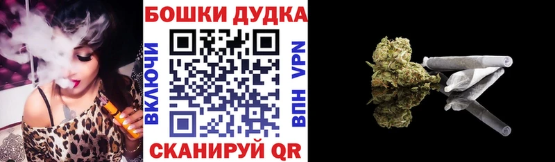 Конопля сатива  где купить наркоту  Кохма 